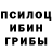 Псилоцибиновые грибы мицелий Feny