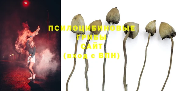 героин Алзамай