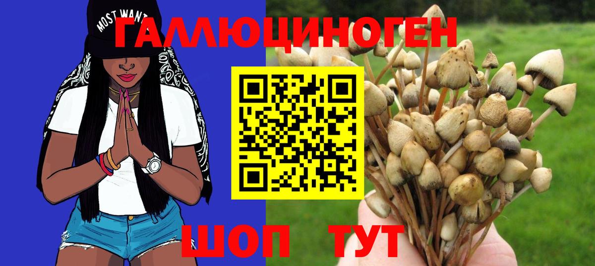 Евпатория  Псилоцибиновые грибы Magic Shrooms  Вход с VPN 
