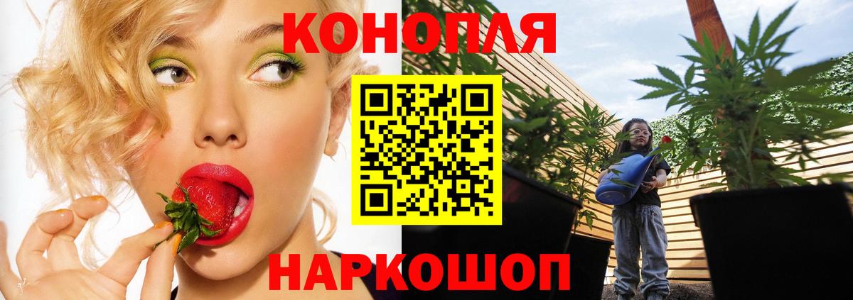 Бошки марихуана White Widow  Вход с VPN  МАРИХУАНА семена  Евпатория  Конопля семена 